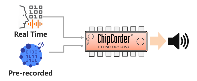 ChipCorder